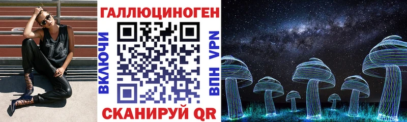 Галлюциногенные грибы Psilocybine cubensis Владивосток